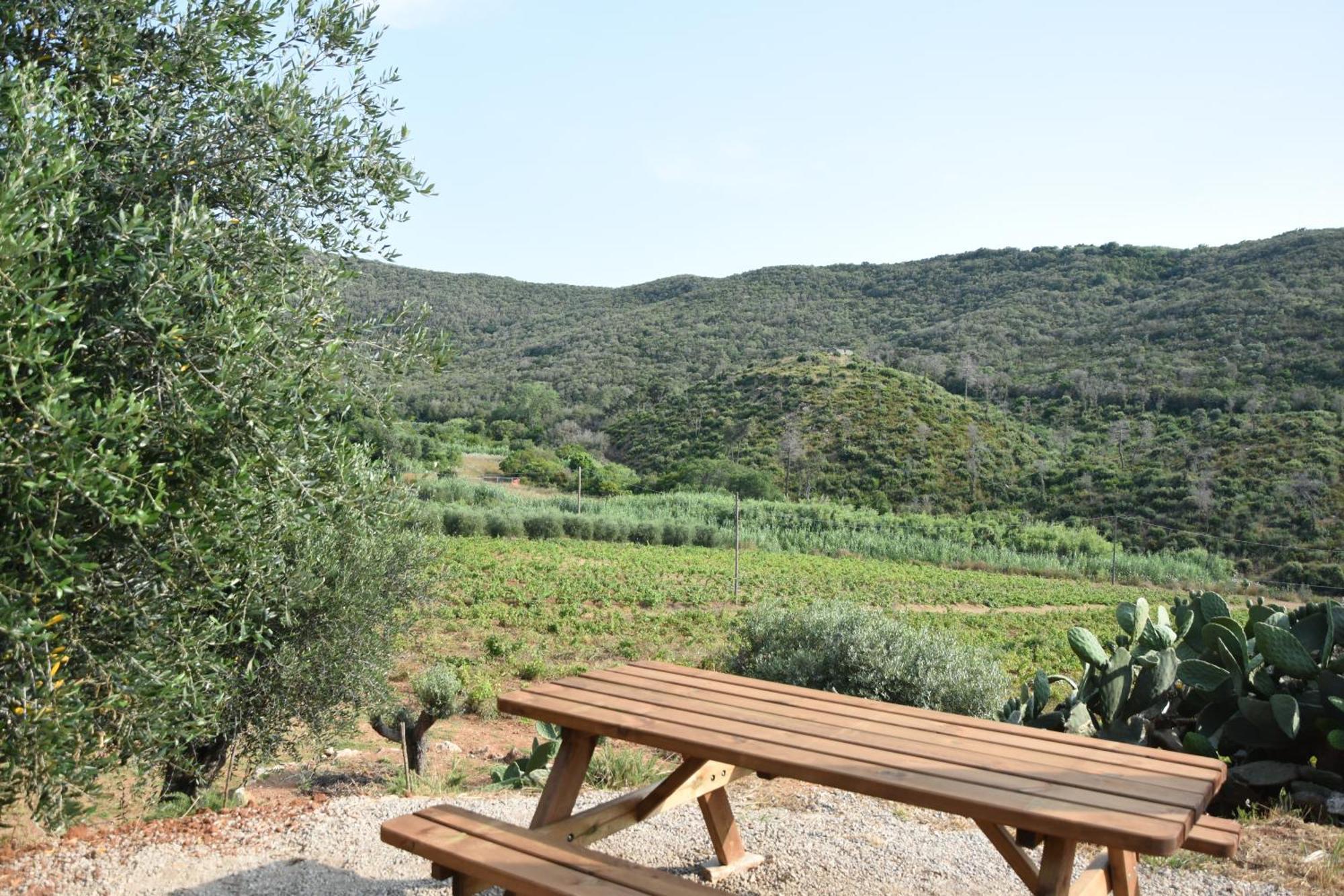 Apartament Elba Borgo Di Latrano Magazzini  Zewnętrze zdjęcie